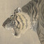 tigerstops