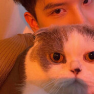 旧厂街第一深情.