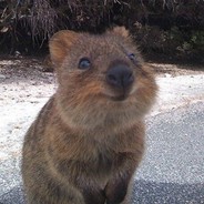 摇摇乐乐蛄蛹者