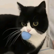 如果窝囊是天赋