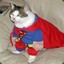 super gato