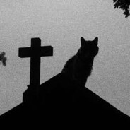 qu1ckz - steam id 76561198865040582