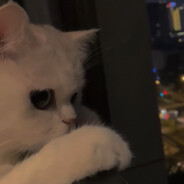 听晚风讲她的故事