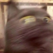 怕还不够我要的是绝望