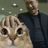 古德猫灵 欧尼酱~