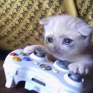 飞天入地皮皮卓