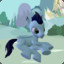 Finny :3 SoarinPony/Bat