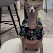 Казявка Джо