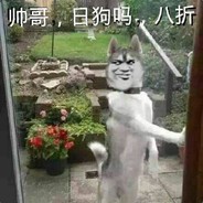 七彩小熊猫