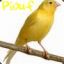 P!ǾuF de retour