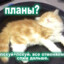 ДЕД ГОВНА