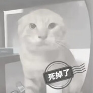 圆头耄耋