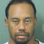 Tiger Woods’ Mugshot