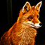 TheFantasticFox