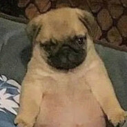 妈的你今天的身体怎么这么甜