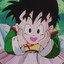 gohan