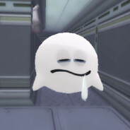 директор лизинга