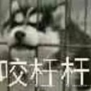 奇奇怪怪的快乐