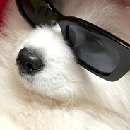 樱岛哩呦麻衣好痒