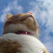 Big Avatar