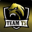 TeamTs  Wolfik