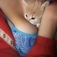 Irukandjin - steam id 76561197965481373