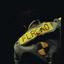 Flacko