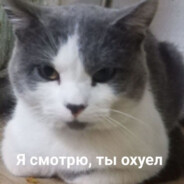Méntha