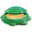 sandpit turtle