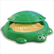 sandpit turtle