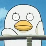 阳光的推荐组员