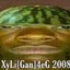 XyLi[Gan]4eG 2008