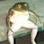 frog