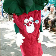 The Rhubarb Fantastic