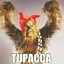 Tuppacca