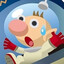 shoofly