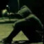 Votrit