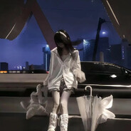 马达加斯加的逻辑猫