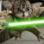 [Meow] Lukeforce