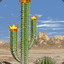 Cactus Lord