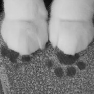 我吃个棒棒糖可以吗