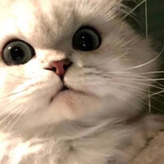 高频战士 心（鑫）上人