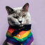 GayCat