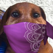 仕事は山ほどあるぞ(  ^