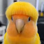 nedee