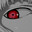 TSX's Avatar