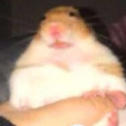 hamter