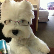 ! ˑ༄ؘ ۪۫۫ hegoa ۪۫۫