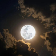 年年端午渡风雨