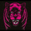 xxuser